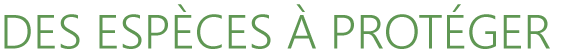 especes_proteger.png