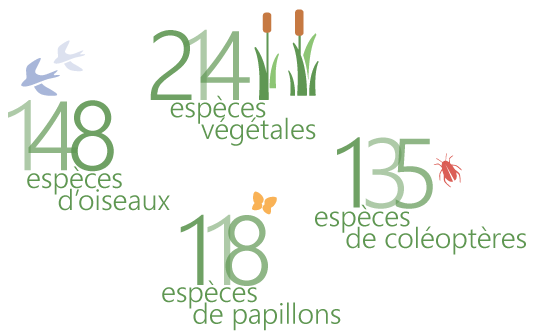 especes_vegetales_oiseaux_papillons_coleopteres.pn