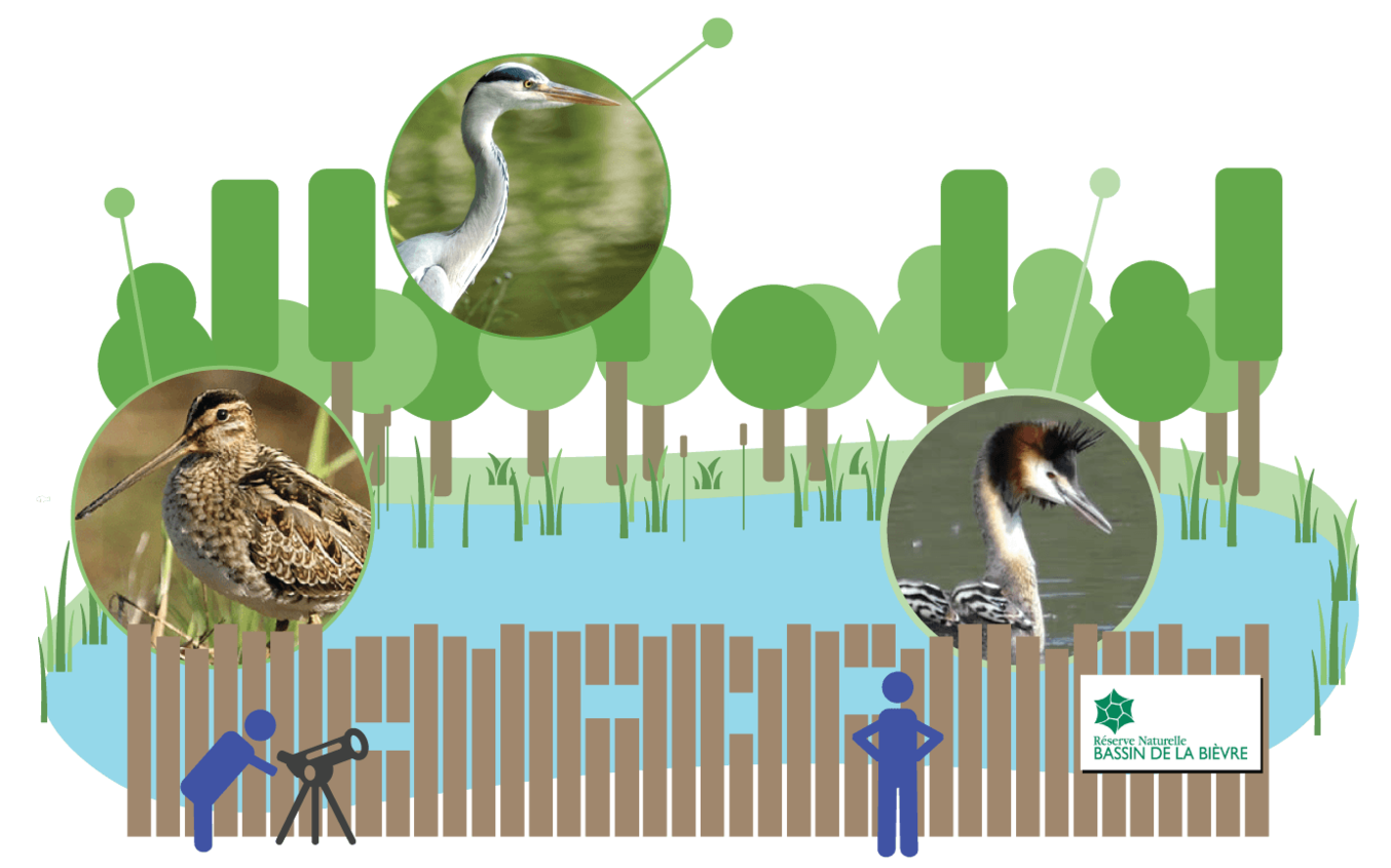 reserve_naturelle_bievre.png